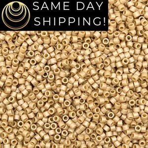 May include: A close-up image of a large quantity of small, round, beige seed beads. The beads are arranged in a random pattern, creating a textured surface.