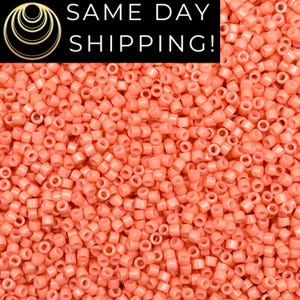 DB2112 SAME DAY SHIPPING! 1-20 Grams Miyuki 11/0 Delica Beads Duracoat Opaque Dark Salmon -Free Container!