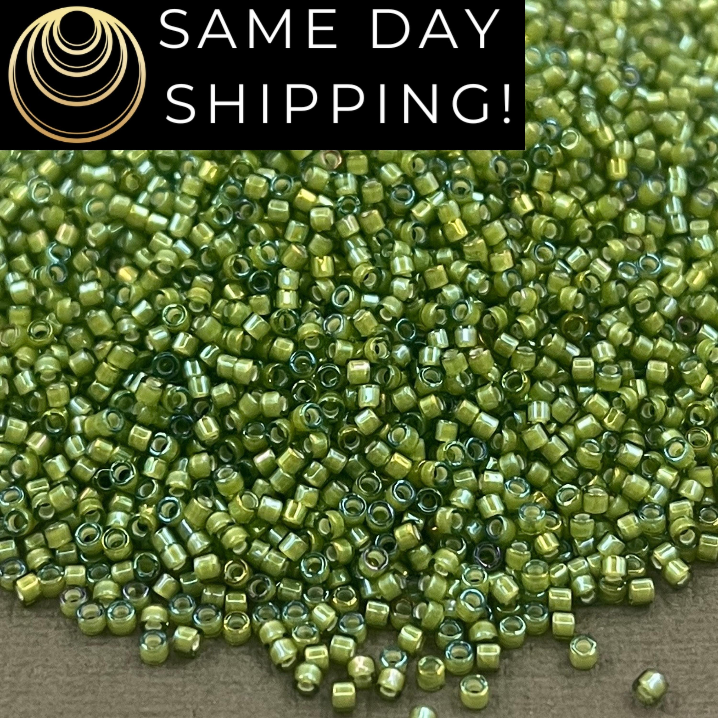 DB1786 SAME DAY SHIPPING! 1-20 Grams Miyuki 11/0 Delica