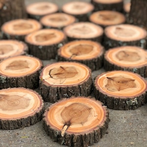 Rustic Cypress Wood Slices