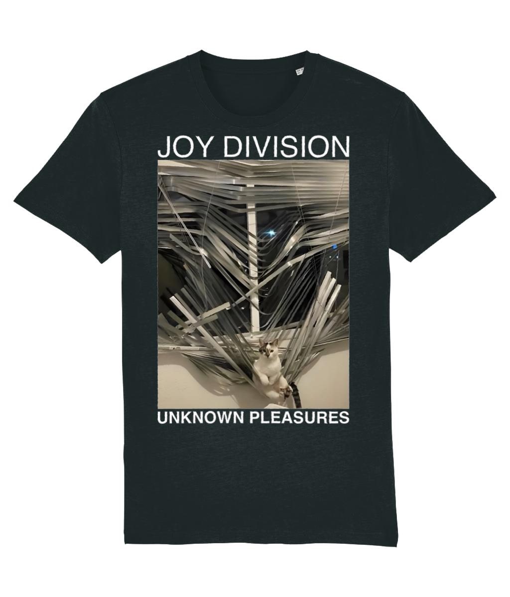 Joy Division Cat UK