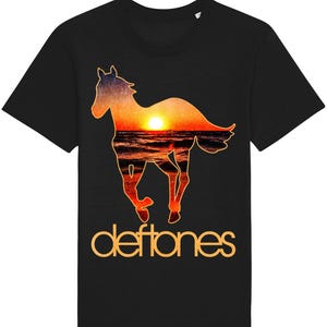 Deftones White Pony Vintage Aged T-Shirt