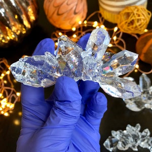 May include: A cluster of clear quartz crystals with iridescent rainbow flashes, held in a blue nitrile glove. The crystals are arranged in a fan shape, with the points of the crystals facing outwards.