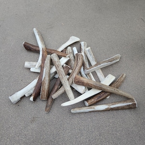 May include: A pile of natural antler chews, varying in size and shape, are scattered on a neutral-toned surface. The chews display a mix of colors, including shades of brown and off-white, with a rough, textured appearance. These are likely for dogs.