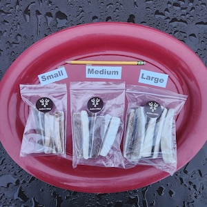 May include: Three clear plastic bags containing antler chews, labeled "Small," "Medium," and "Large." Each bag has a circular sticker with a deer antler logo and the text "Antlers Wild." A yellow pencil is placed across the top for size comparison. The chews are various shades of brown and white.