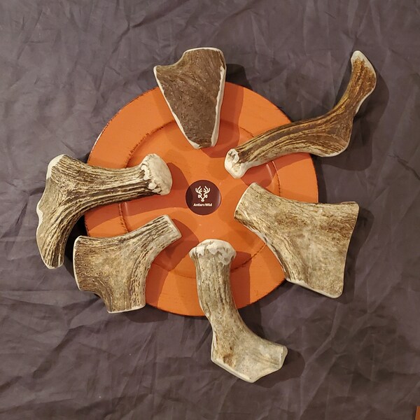 Big Moose Antler Dog Chews (Large - XL Dogs)