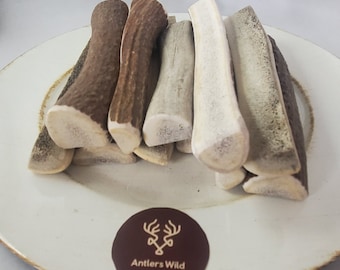 May include: A collection of deer antlers in various shades of brown and beige, arranged on a white plate with a gold rim. A brown circular sticker with the text "Antlers Wild" is visible.