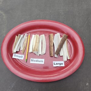 May include: A red oval platter displays three sizes of dog chews: small, medium, and large. The chews are light brown and beige, with a pencil for size comparison. The labels are white rectangles with black text.