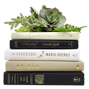 Neutral Home Decor Books by Color for Home Decor and Staging, Book Collections and Book Stacks, Set of Decorative Books by Color