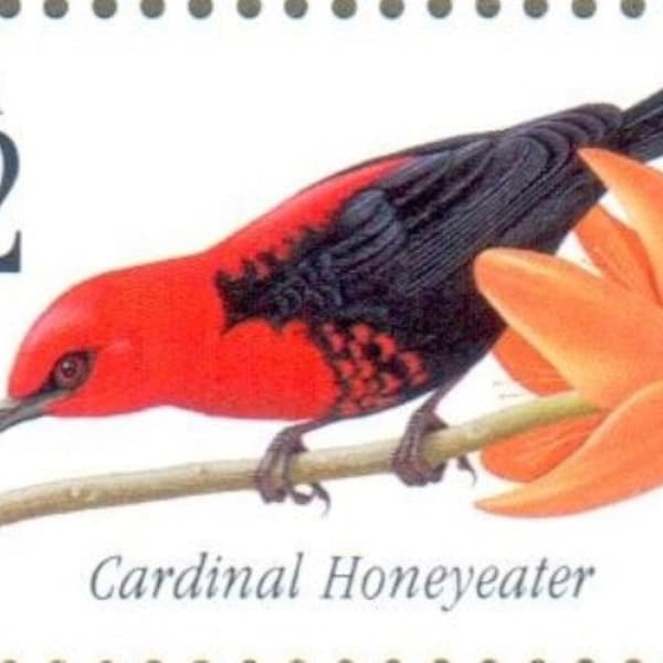 Unused US Postage Stamp Tropical Bird Cardinal Honeyeater - 32 Cent Mint Unused Stamp Issued 1997 - Scotts# 3225