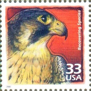 US Stamp Recovering Endangered Threatened Animal Species 1990 Celebrate the Century 33 Cent MNH Scotts 3191g