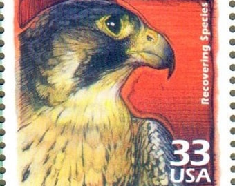 US Stamp Recovering Endangered Threatened Peregrine Falcon Animal Species 33 Cent MNH Scotts 3191g Junk Journaling, Scrapbooking