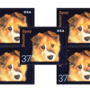 May include: Five US postage stamps with a picture of a dog's face. The stamps are blue with white text that reads "Spay Neuter 37 USA".