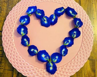 Butterfly Pea Seeds