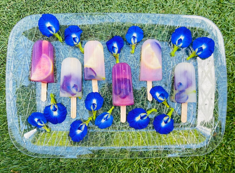 May include: A tray of homemade popsicles with purple and blue hues, decorated with blue butterfly pea flowers. The popsicles are on a clear plastic tray with a textured surface.