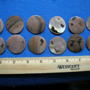 set of 12 polished brown oyster shell discs Mother of Pearl pendants jewelry seashell shells art craft crafts beads necklace charms