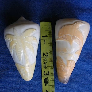 SET of TWO Carved Cone Shells dolphin palm tree ocean hand carved cameo dolphins etching cameo seashell seashells
