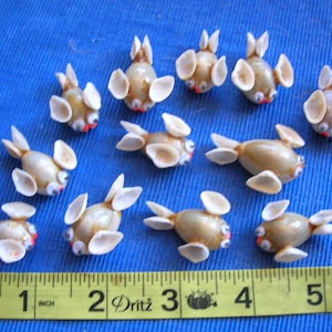 SET of 12 seashell figurines fish art crafts jewelry doll house shells figurine craft