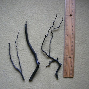 Peut inclure: Quatre branches décoratives sombres et fines de longueurs variables sont présentées sur une surface neutre à côté d'une règle en bois. La règle indique des mesures en centimètres, la branche la plus longue mesurant environ 25 cm.