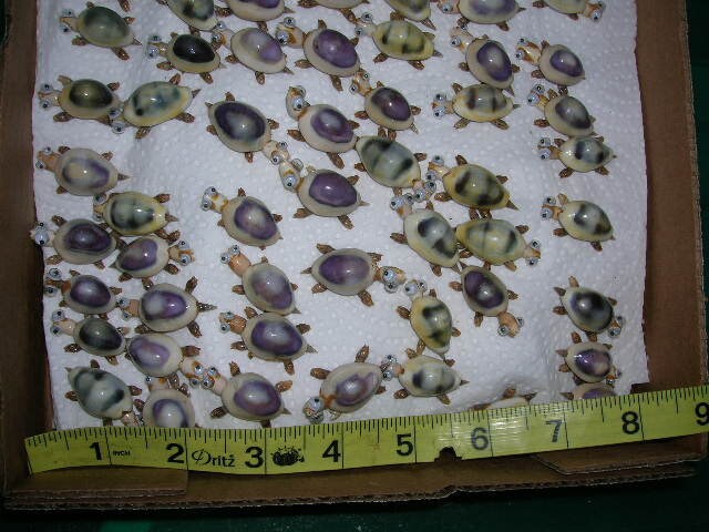 Set of 25 Seashell Turtles Made of Real Shells Craft Crafts Art Jewelry ...
