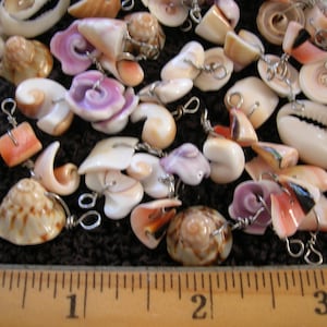 May include: A collection of assorted small seashells, each fitted with a silver-toned metal jump ring, arranged above a wooden ruler showing measurements in inches. The shells feature various natural colors including white, tan, pink, and brown.