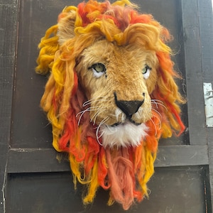 Mounted Lion Head Realistic - Etsy
