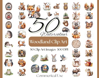 Woodland Animals Clipart Bundle – Forest Creatures PNG (Digital Download)