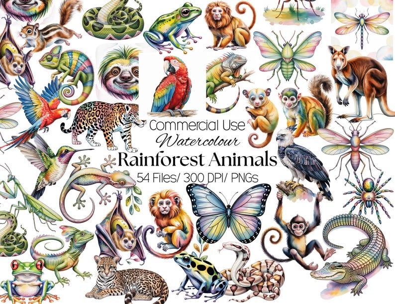 54 Rainforest Animals Watercolor Clipart PNG Commercial Use, Tropical ...