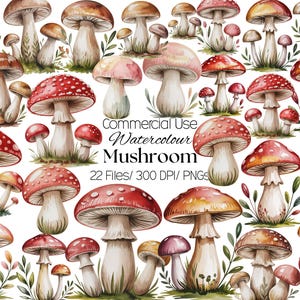 May include: Watercolor illustration of various mushrooms in shades of red, brown, and beige. Some mushrooms have red caps with white spots. The image includes text that reads "Commercial Use Watercolour Mushroom 22 Files/ 300 DPI/ PNGs."