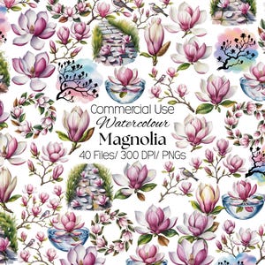 May include: A collection of watercolor magnolia illustrations featuring individual flowers, floral wreaths, stone paths, and small birds. The text reads Commercial Use Watercolour Magnolia 40 Files/ 300 DPI/ PNGS. The artwork displays pink and white petals.