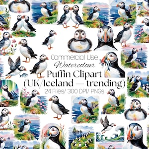 May include: A collection of watercolor puffin illustrations featuring various poses, including puffins standing on cliffs, flying, and swimming. The text reads Commercial Use Watercolour Puffin Clipart (UK/Iceland — trending) 24 Files/ 300 DPI/ PNGS.
