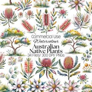 Op de afbeelding: Waterverfillustraties van Australische inheemse planten in verschillende vormen, waaronder bloemen, bomen en bladeren. Het kunstwerk heeft een zacht kleurenpalet met roze, groene, gele en blauwe tinten. Tekst op de afbeelding luidt "Commercial Use Watercolour Australian Native Plants".