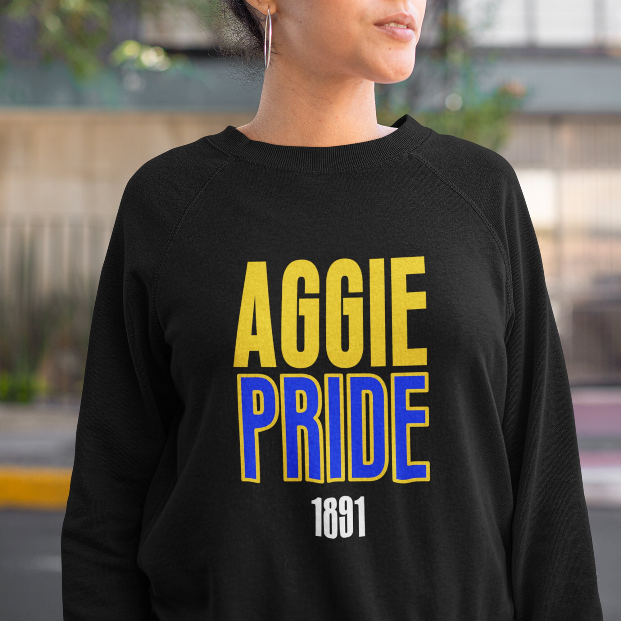 Aggie Pride North Carolina Aggie Tees Aggie Etsy