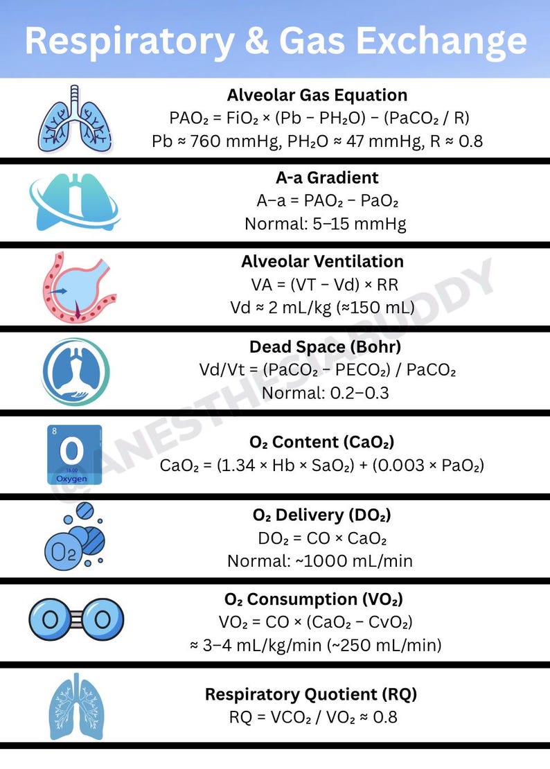 100+ High-yield Anesthesia Infographics - Etsy