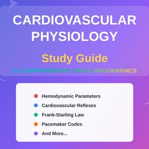 May include: A digital graphic with the title "CARDIOVASCULAR PHYSIOLOGY" and "Study Guide" in yellow text. The image includes a list of topics such as "Hemodynamic Parameters" and "Cardiovascular Reflexes" with colored bullet points.