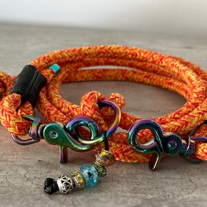 Luxury dog leash &quot;My Dog found the Rainbow&quot;