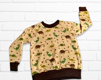 Dinosaur Sweatshirt, Sweater Size 56-122