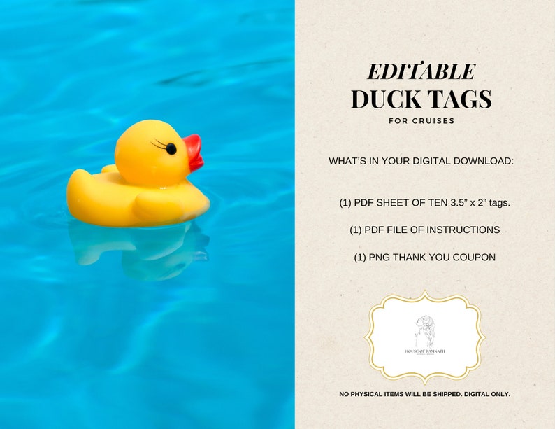 Cruise Duck Tags, Editable, Fill and Print image 4