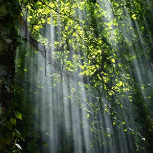 Sunbeam Major Enchantment (Strengthen Your Spiritual Light!)