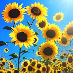 Custom Order #3 - J.