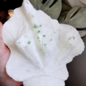 Peut inclure: Un cristal naturel blanc en forme d'éventail avec des inclusions vertes. Le cristal est lisse et a une texture délicate.