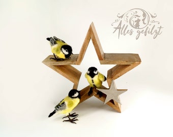 Birds and star, felted