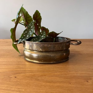Puede incluir: Un macetero de latón de forma redonda con dos asas. El macetero está lleno de una planta verde con manchas blancas.