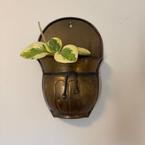Puede incluir: Una maceta de latón montada en la pared con una placa trasera semicircular y un cuenco redondeado y estriado. Un detalle de cuerda trenzada oscura rodea la parte superior del cuenco. Una pequeña planta con hojas variegadas de color verde y crema descansa dentro.