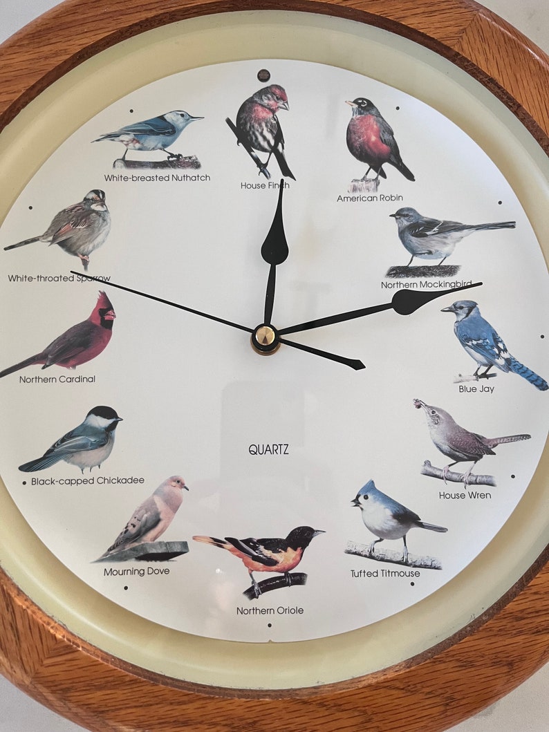 13 Singing Bird Clock Bird Songs on the Hour Wood Frame Etsy Australia