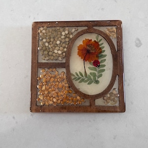 Vintage Lucite Trivet -  Resin w/ Cork - Lady Bug Pressed Flowers & Seeds - 1970s Pot Holder - Boho Kitchen - Design Gift International