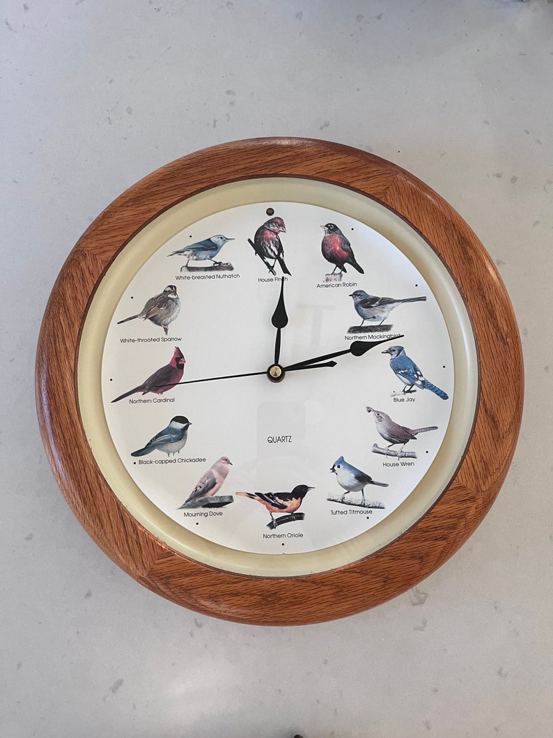 13 Singing Bird Clock Bird Songs on the Hour Wood Frame Etsy Australia