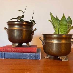 May include: Two antique brass planters with plants, each with ornate handles and decorative feet. One planter sits on a red book, the other on a blue book. The plants have green leaves.