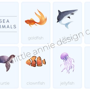 Sea Animal Flashcards Digital File