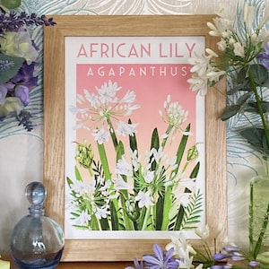 Watercolour White Agapanthus Art Print A5/ A4/ A3 | Wall Art | Illustration | Flowers | Garden | African Lily